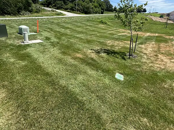 Fertilized lawn before