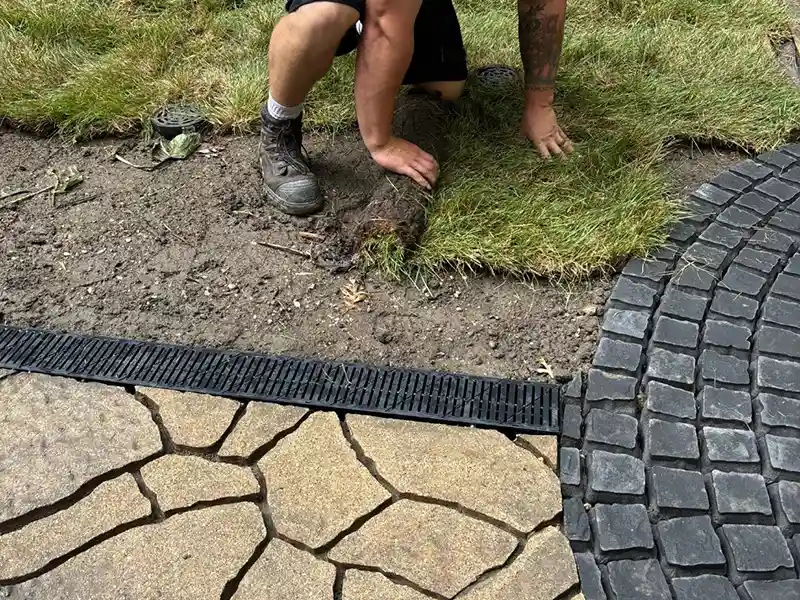 Worker installing new grass on lawn