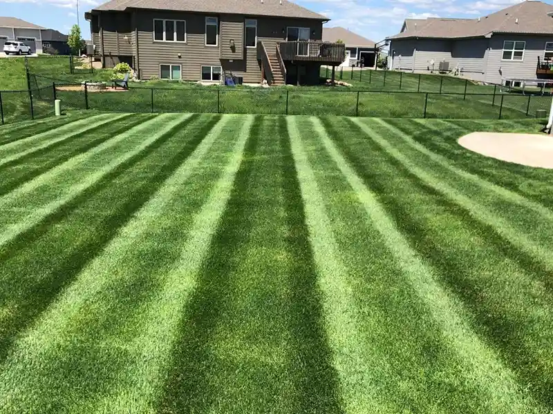 Freshly mowed lawn