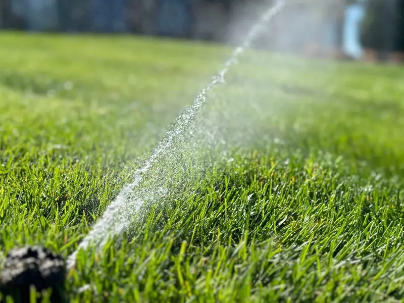 Close up of sprinkler head